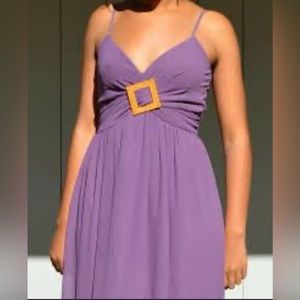 NWT Thirty Thirty Dress